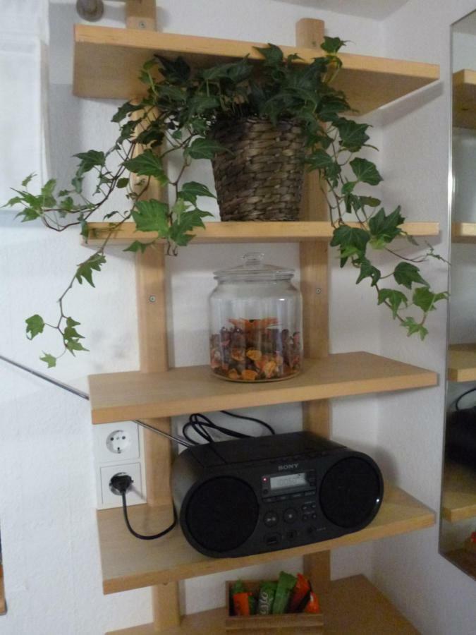 Ferienwohnung Jansen "Eins" Bad Schwalbach Eksteriør bilde